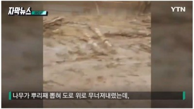  중부고속도로 상황