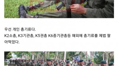 한국이 해외에 팔아먹은 무기들