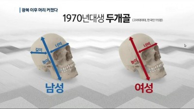 한국인의 머리가 커지고 있다