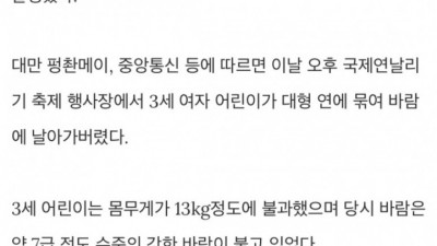  대만 축제 무서운 연 날리기