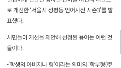  서울시 선정 성차별적 용어