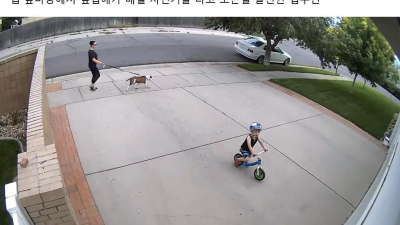  옆집 애가 자꾸 제 주차장에서 자전거를 탑니다