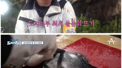  돌돔의 위엄