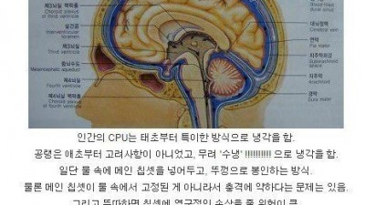  인간의 CPU 냉각 방식
