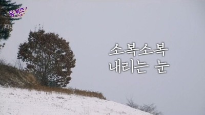  눈이 녹으면 어떻게 질문에 문과 VS 이과