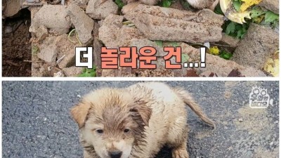  땅 속에 매몰된 채 1주일간 생존