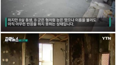  인천 초등생 형제의 현재 상태