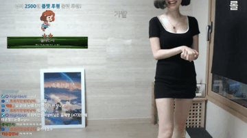 스트리머 꿀혜