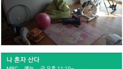  시청률 떡상한 프로그램