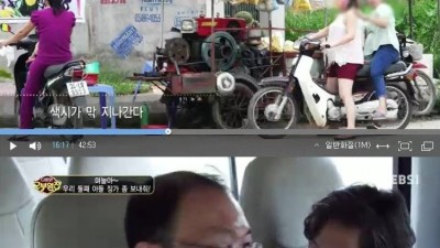 베트남 신붓감 찾는 노총각