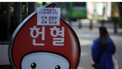  적십자사 근황