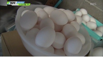  열도의 날달걀 우동