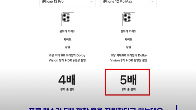  아이폰 12 광학줌 말장난