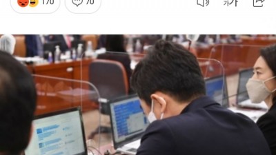  국감은 뒷전