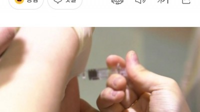  백신 사망 유력 원인