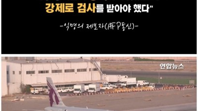  카타르 공항 자궁검사 논란