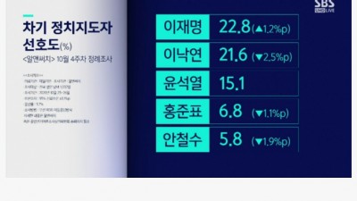  차기 대선주자 선호도 순위