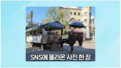  전기로 운행하는 마차 논란