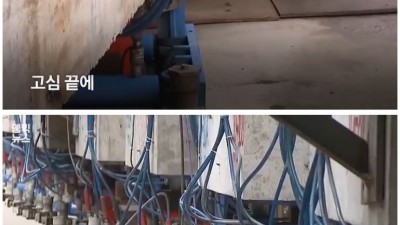  대륙의 건물 이사