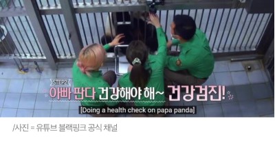  대륙의 분노