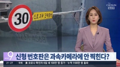  신형 번호판 논란