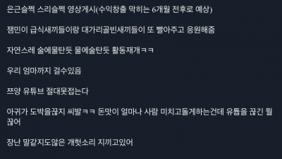  쯔양 행보 무당 예측