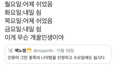  수요일에 쉬면 개꿀인 이유