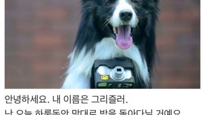  개의 심박수가 늘어나면 찍히는 사진기