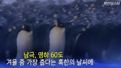  펭귄을 위해 불문율을 깬 감독