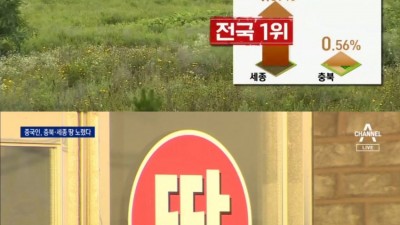  세종 천도론에 쇼핑 열풍