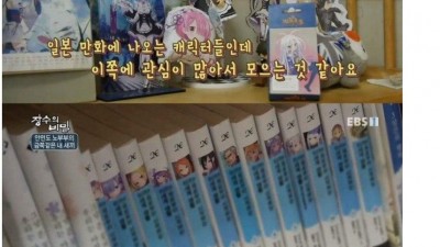  방송으로 공개처형
