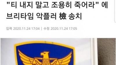  검찰 송치된 악플 논란