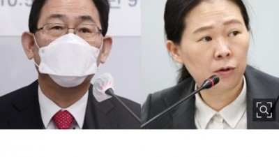  국정조사 하자던 분들