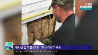  평화로운 천조국