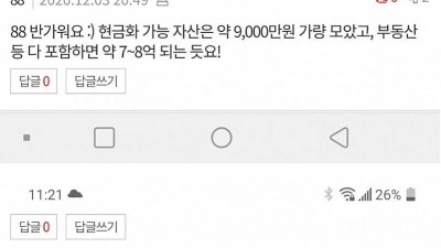  30대 판녀들의 자산