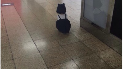  숨막히는 뒤태