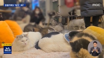  카페 대신 가는 장소