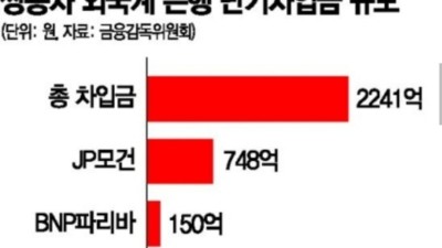  또 공적자금 넣으라고 아우성