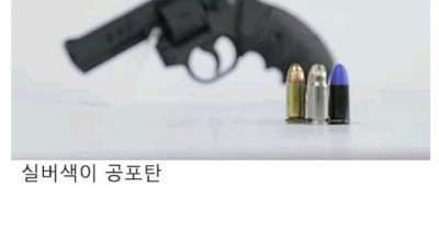  한국 경찰들에게 지급될 비살상탄 권총