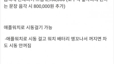  애플카 뻔하지