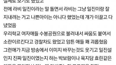  2015년에 쓰여진 라비에 관한 글