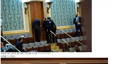  미국 성조기 부대의 폭동