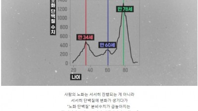  30대 중반에 얼굴이 팍 늙는 이유