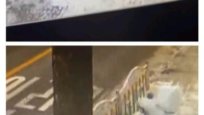  생긴대로 노시는 분