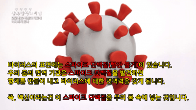  코로나 백신 종류별로 설명
