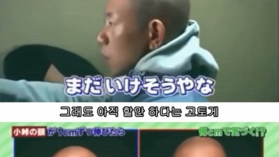  열도의 어떤 실험