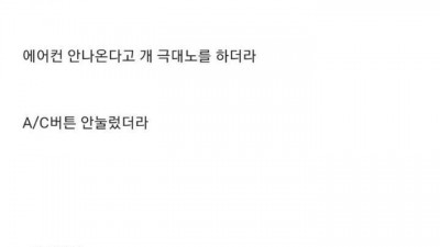  정비사가 만난 빌런들