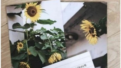  서로에게 해바라기를 선물