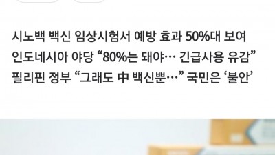  조마조마한 동남아 국가들
