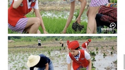  대륙의 승무원 선발 과정